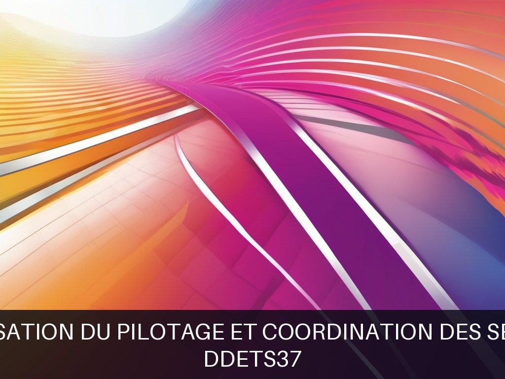 Illustration pour DDETS37: Optimisation du pilotage et coordination des services